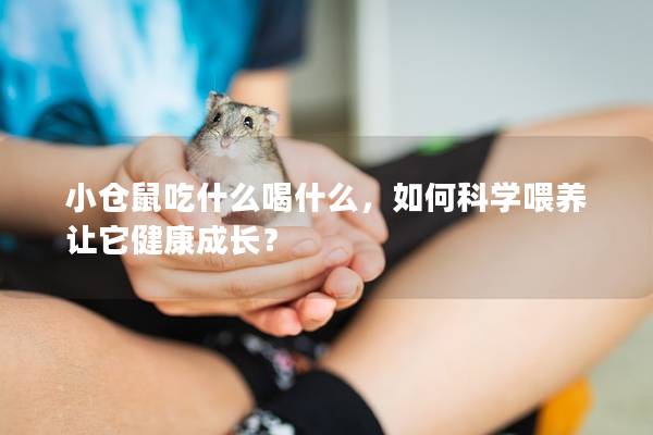 小仓鼠吃什么喝什么，如何科学喂养让它健康成长？