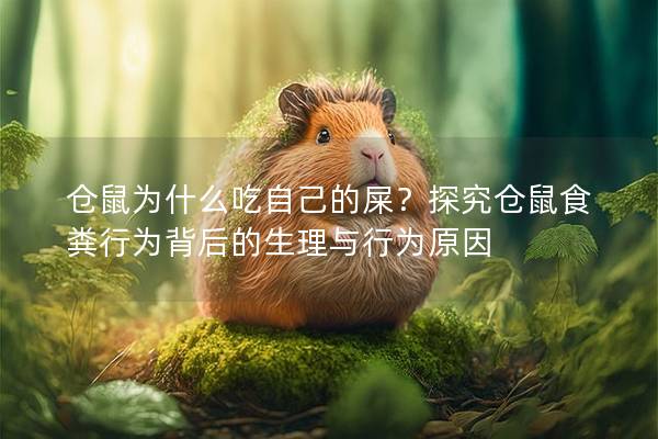 仓鼠为什么吃自己的屎？探究仓鼠食粪行为背后的生理与行为原因
