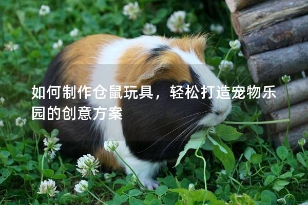 如何制作仓鼠玩具，轻松打造宠物乐园的创意方案
