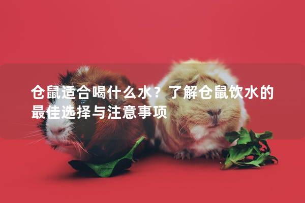 仓鼠适合喝什么水？了解仓鼠饮水的最佳选择与注意事项