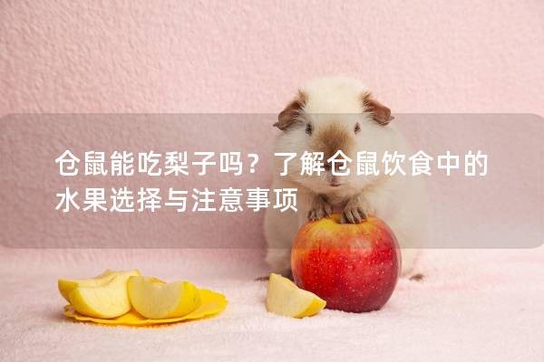 仓鼠能吃梨子吗？了解仓鼠饮食中的水果选择与注意事项