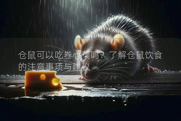 仓鼠可以吃卷心菜吗？了解仓鼠饮食的注意事项与建议