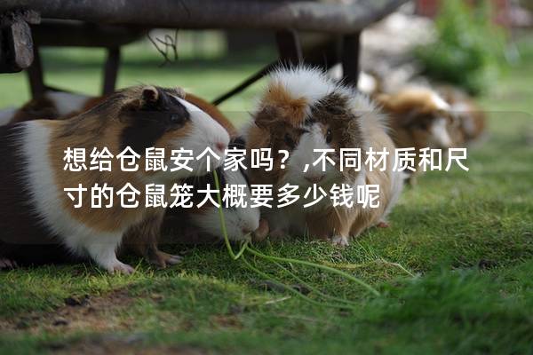 想给仓鼠安个家吗？,不同材质和尺寸的仓鼠笼大概要多少钱呢