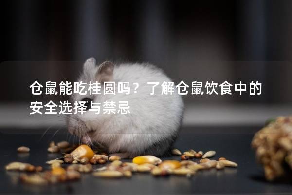 仓鼠能吃桂圆吗？了解仓鼠饮食中的安全选择与禁忌