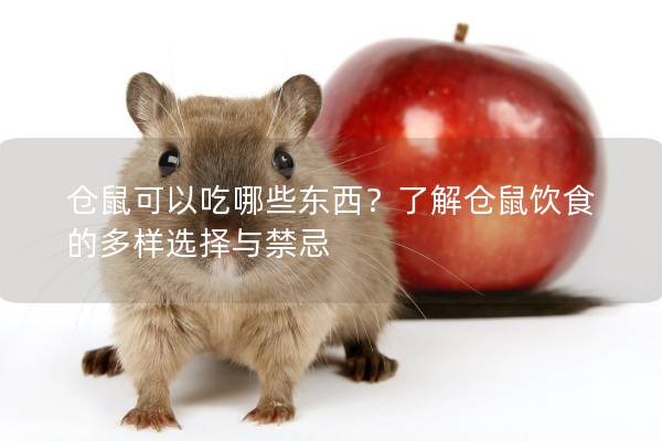 仓鼠可以吃哪些东西？了解仓鼠饮食的多样选择与禁忌