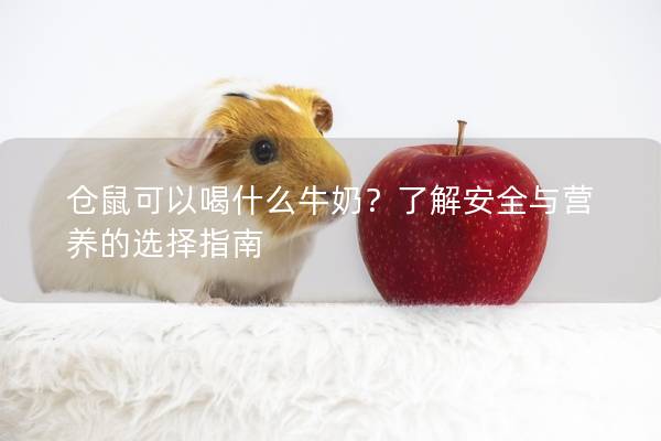 仓鼠可以喝什么牛奶？了解安全与营养的选择指南