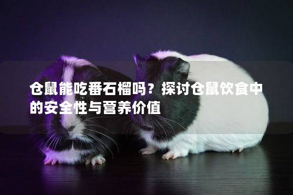 仓鼠能吃番石榴吗？探讨仓鼠饮食中的安全性与营养价值