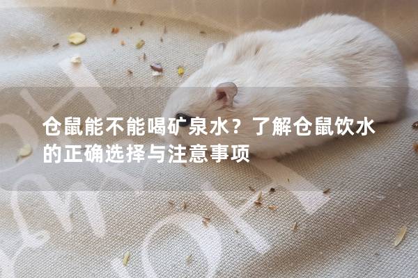 仓鼠能不能喝矿泉水？了解仓鼠饮水的正确选择与注意事项