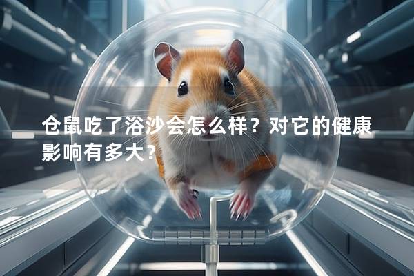 仓鼠吃了浴沙会怎么样？对它的健康影响有多大？