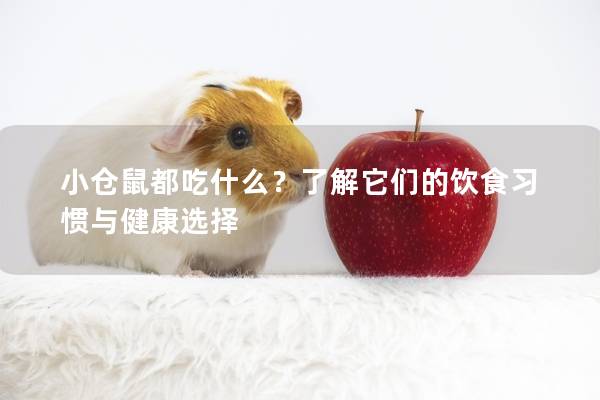 小仓鼠都吃什么？了解它们的饮食习惯与健康选择
