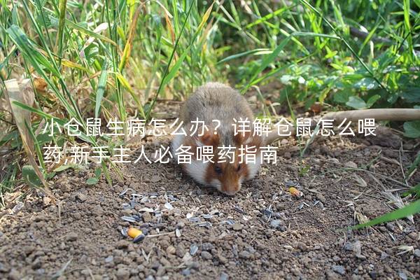 小仓鼠生病怎么办？详解仓鼠怎么喂药,新手主人必备喂药指南