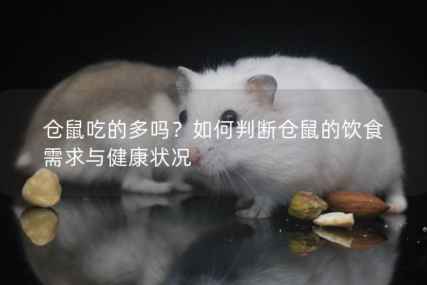仓鼠吃的多吗？如何判断仓鼠的饮食需求与健康状况