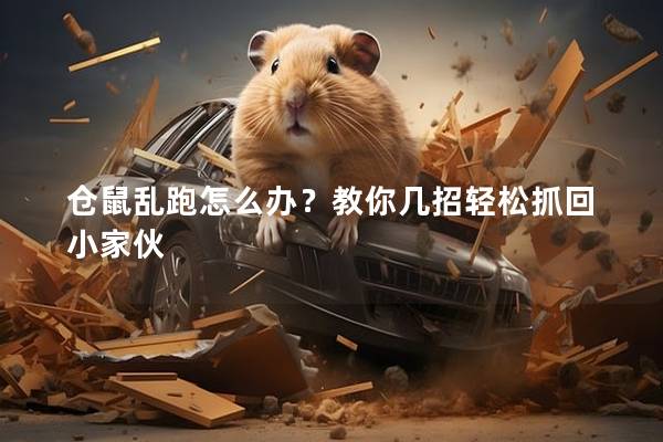 仓鼠乱跑怎么办？教你几招轻松抓回小家伙
