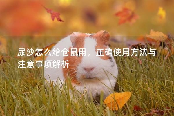尿沙怎么给仓鼠用，正确使用方法与注意事项解析