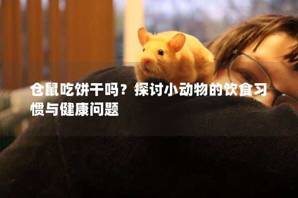 仓鼠吃饼干吗？探讨小动物的饮食习惯与健康问题