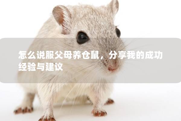 怎么说服父母养仓鼠，分享我的成功经验与建议