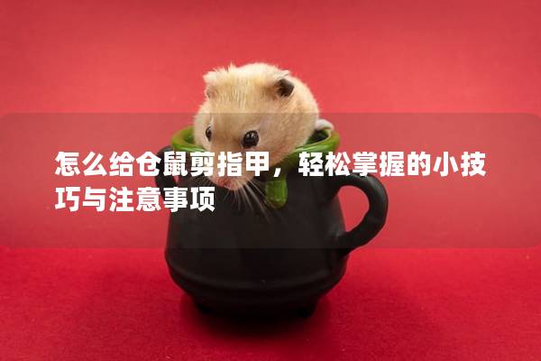 怎么给仓鼠剪指甲，轻松掌握的小技巧与注意事项