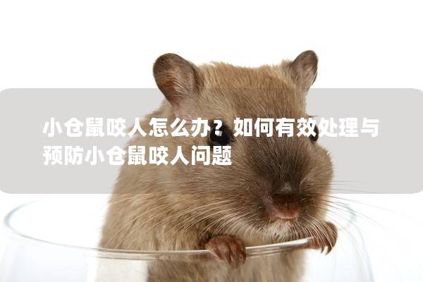 小仓鼠咬人怎么办？如何有效处理与预防小仓鼠咬人问题