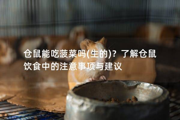 仓鼠能吃菠菜吗(生的)？了解仓鼠饮食中的注意事项与建议