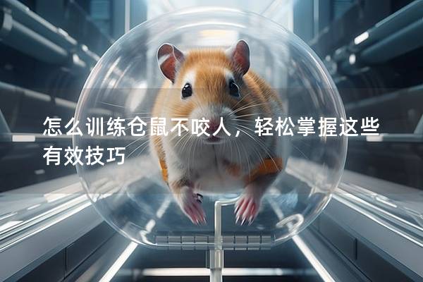 怎么训练仓鼠不咬人，轻松掌握这些有效技巧
