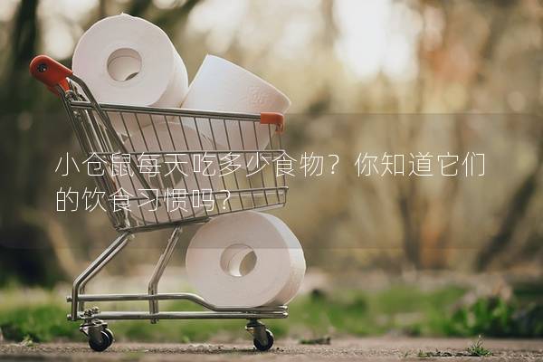 小仓鼠每天吃多少食物？你知道它们的饮食习惯吗？