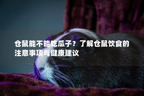 仓鼠能不能吃瓜子？了解仓鼠饮食的注意事项与健康建议