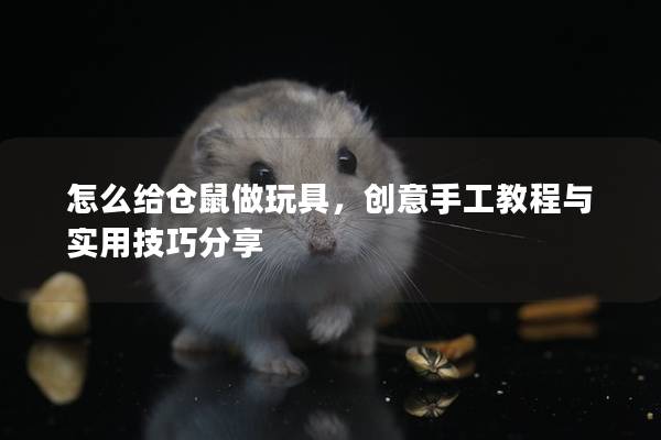 怎么给仓鼠做玩具，创意手工教程与实用技巧分享