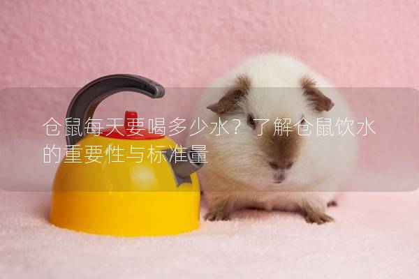 仓鼠每天要喝多少水？了解仓鼠饮水的重要性与标准量