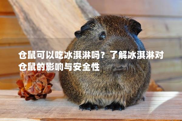 仓鼠可以吃冰淇淋吗？了解冰淇淋对仓鼠的影响与安全性