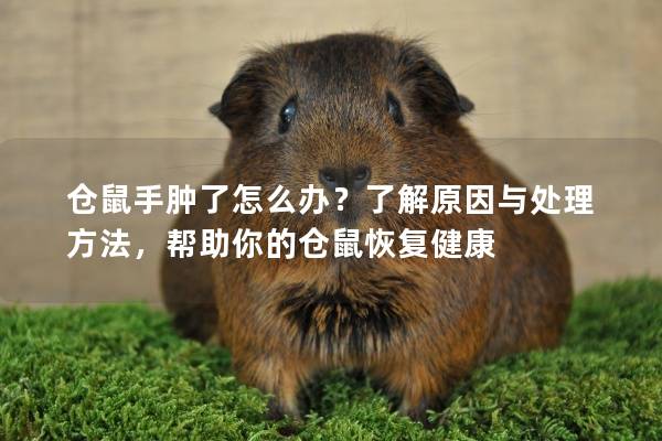 仓鼠手肿了怎么办？了解原因与处理方法，帮助你的仓鼠恢复健康