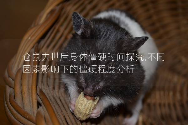 仓鼠去世后身体僵硬时间探究,不同因素影响下的僵硬程度分析