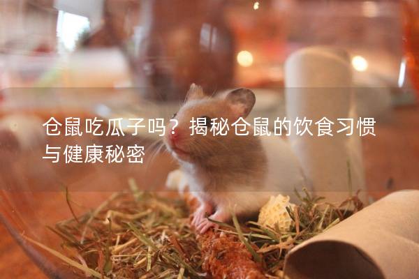 仓鼠吃瓜子吗？揭秘仓鼠的饮食习惯与健康秘密