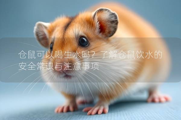 仓鼠可以喝生水吗？了解仓鼠饮水的安全常识与注意事项