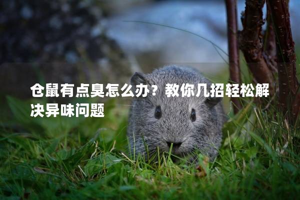 仓鼠有点臭怎么办？教你几招轻松解决异味问题