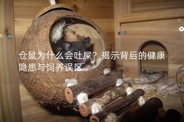 仓鼠为什么会吐屎？揭示背后的健康隐患与饲养误区