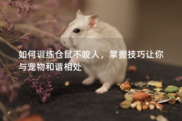 如何训练仓鼠不咬人，掌握技巧让你与宠物和谐相处