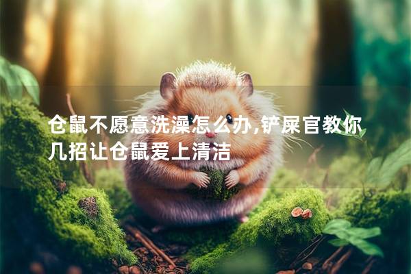仓鼠不愿意洗澡怎么办,铲屎官教你几招让仓鼠爱上清洁