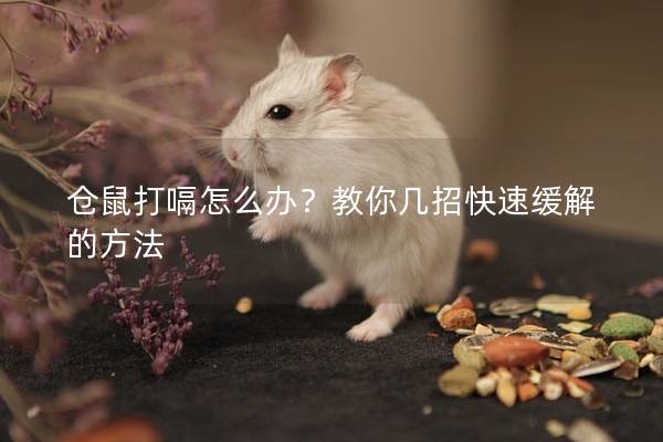 仓鼠打嗝怎么办？教你几招快速缓解的方法