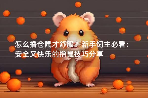怎么撸仓鼠才舒服？新手饲主必看：安全又快乐的撸鼠技巧分享