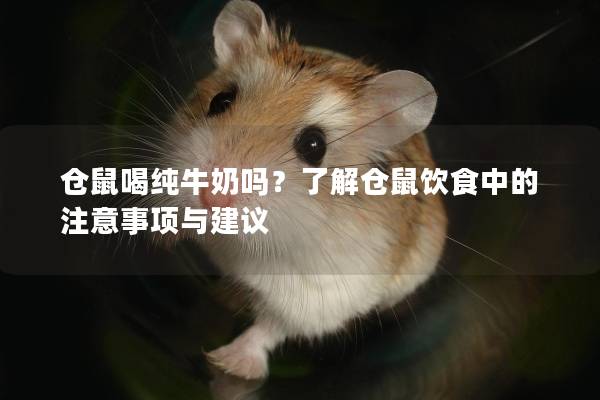 仓鼠喝纯牛奶吗？了解仓鼠饮食中的注意事项与建议