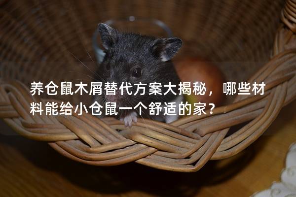 养仓鼠木屑替代方案大揭秘，哪些材料能给小仓鼠一个舒适的家？