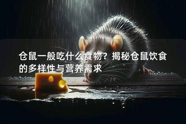仓鼠一般吃什么食物？揭秘仓鼠饮食的多样性与营养需求