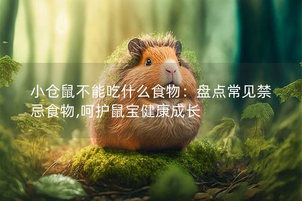小仓鼠不能吃什么食物：盘点常见禁忌食物,呵护鼠宝健康成长