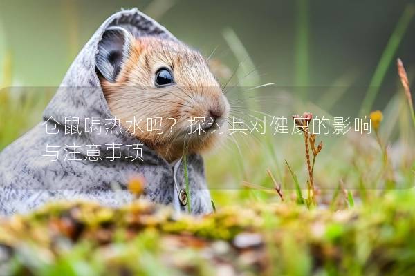 仓鼠喝热水吗？探讨其对健康的影响与注意事项