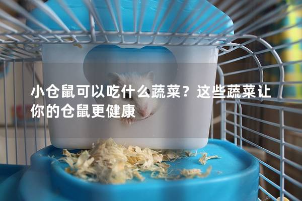 小仓鼠可以吃什么蔬菜？这些蔬菜让你的仓鼠更健康
