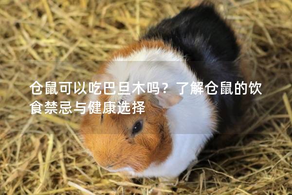 仓鼠可以吃巴旦木吗？了解仓鼠的饮食禁忌与健康选择