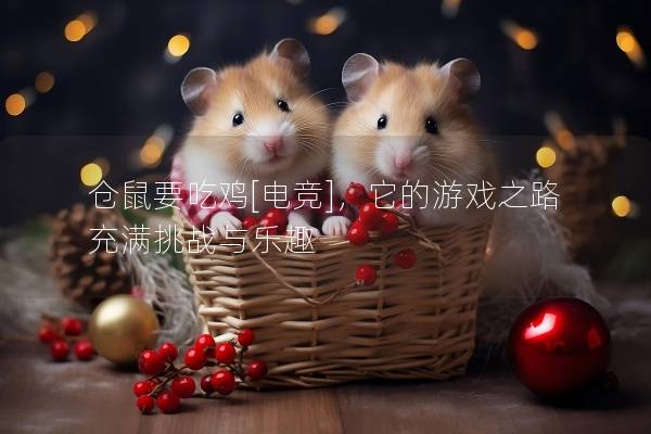 仓鼠要吃鸡[电竞]，它的游戏之路充满挑战与乐趣