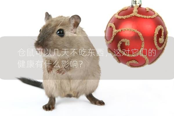 仓鼠可以几天不吃东西，这对它们的健康有什么影响？