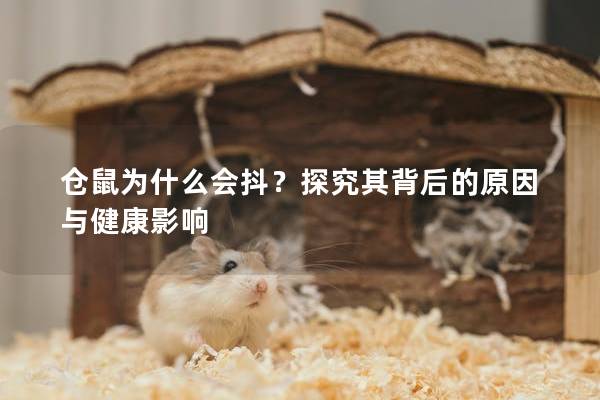 仓鼠为什么会抖？探究其背后的原因与健康影响