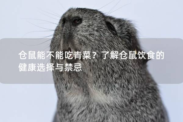 仓鼠能不能吃青菜？了解仓鼠饮食的健康选择与禁忌